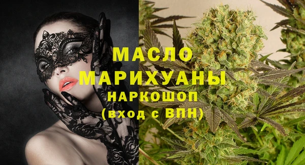 индика Рославль