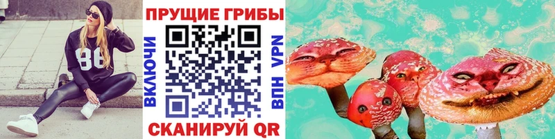 Псилоцибиновые грибы Cubensis  OMG сайт  Островной  где продают наркотики 